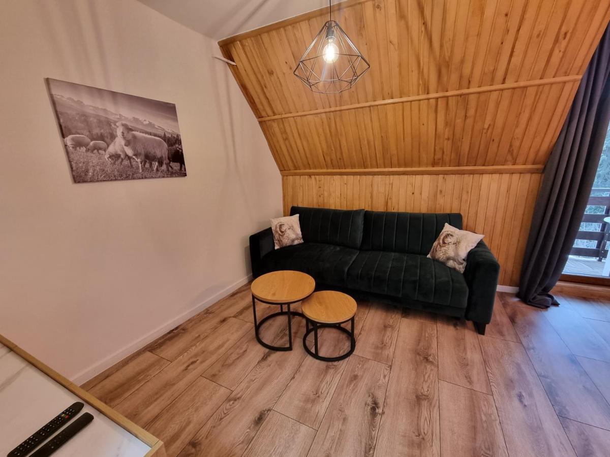 Apartament Klasyczny Z Widokiem Na Giewont Косцелиско Экстерьер фото