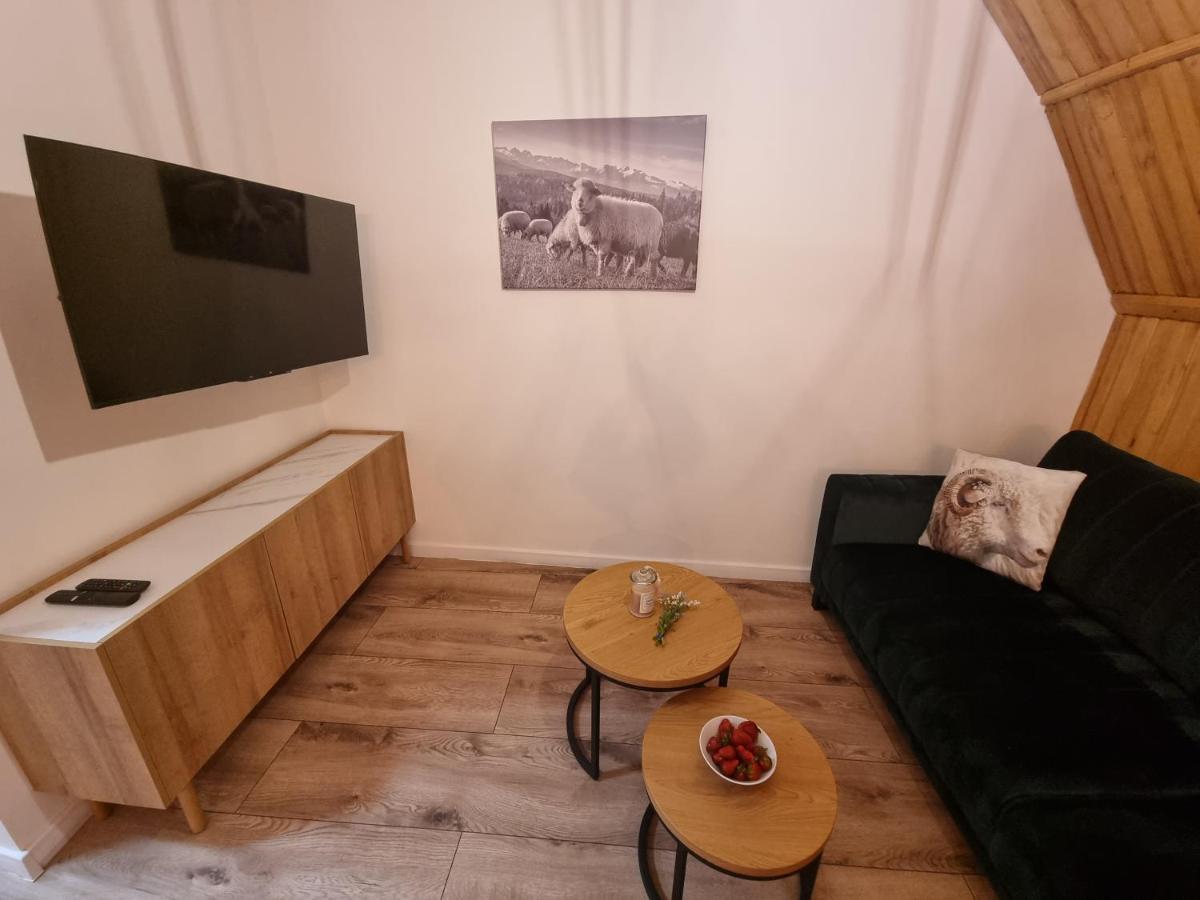 Apartament Klasyczny Z Widokiem Na Giewont Косцелиско Экстерьер фото