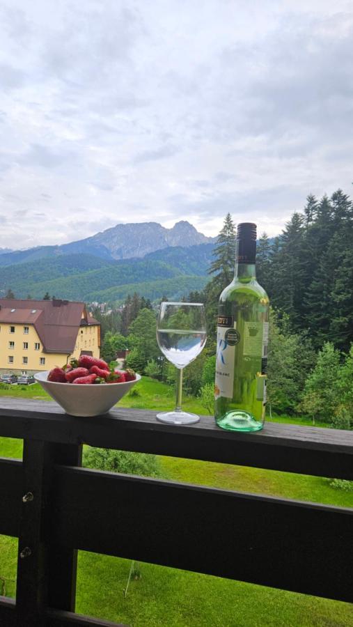 Apartament Klasyczny Z Widokiem Na Giewont Косцелиско Экстерьер фото